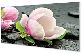 Obraz plexi Magnolia kamene 140x70 cm