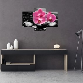 Obraz - Ružové orchidey (90x60 cm)