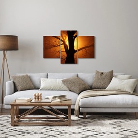 Obraz stromu pri západe slnka (90x60 cm)