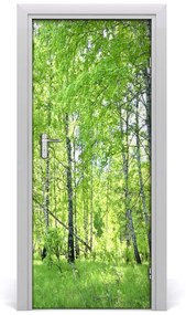 Fototapeta na dvere Břízová les 75x205 cm