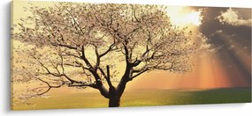 Obraz stromu na lúke (120x50 cm)