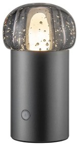 LED prenosné stmievateľné vonkajšie svietidlo na USB ø 10 cm Iris – Blomus