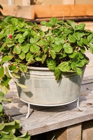 Ib Laursen Kovový stojan na kvetináč / kôš