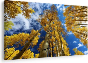 Obraz - Aspen (90x60 cm)