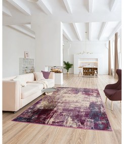Fialový koberec 200x300 cm Colores cloud – Asiatic Carpets
