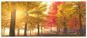 Obraz jesenných stromov (120x50 cm)
