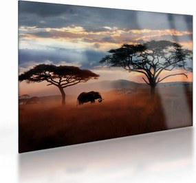 Sklenený obraz - Národný park Serengeti, Tanzánia, Afrika (70x50 cm)