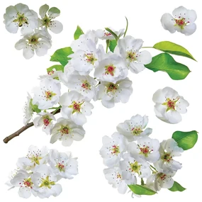 Samolepiaca dekorácia Apple blossom, 30 x 30 cm