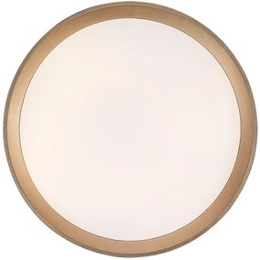 Rabalux 71185 - LED Stropné svietidlo LIATRIS LED/25W/230V 3000K pr. 38 cm