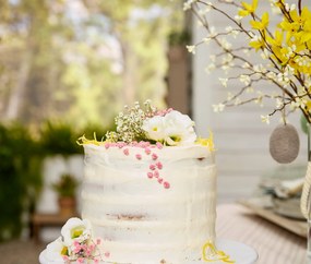 Roztieracie lopatky, 2 ks