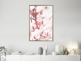 Artgeist Plagát - Blooming Cotton [Poster] Veľkosť: 40x60, Verzia: Čierny rám