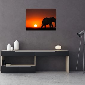 Sklenený obraz slona pri západe slnka (70x50 cm)