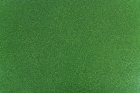 PVC podlaha Artifact Grass 025 imitácia trávy