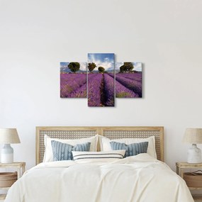 Obraz - Levanduľové pole a hory (90x60 cm)