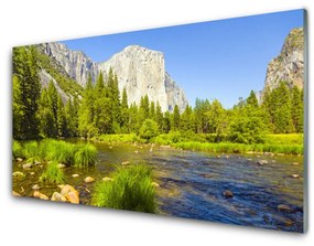 Skleneny obraz Jazero hora les príroda 120x60 cm