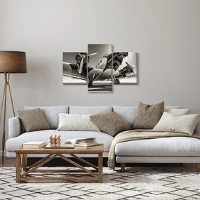 Obraz - Historické lietadlo (90x60 cm)