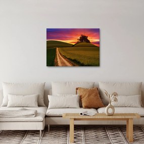 Obraz poľa pri západe slnka (70x50 cm)