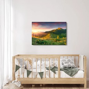 Obraz - Letná krajina (90x60 cm)