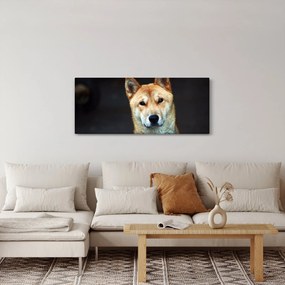Obraz psa (120x50 cm)