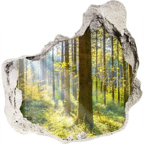 Diera 3D v stene na stenu Forest na slnku nd-p-98252702
