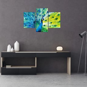 Obraz páva (90x60 cm)