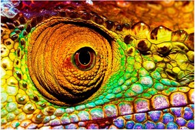 Obraz - Chameleon (90x60 cm)