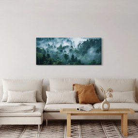 Obraz - Les v hmle (120x50 cm)