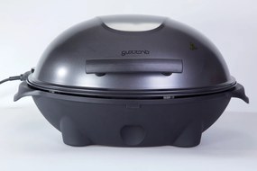 Gril Guzzanti GZ 345