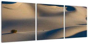 Púšť - obraz
