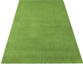 DY Zelený obdĺžnikový koberec Portofino Rozmer: 200x300 cm