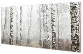 Obraz plexi Hmla breza 100x50 cm