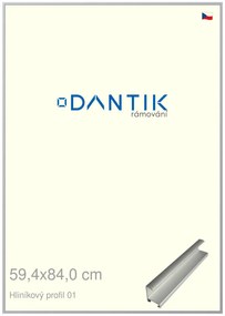 DANTIK rám na obraz 59,4x84 | ALU Stříbrná matná (Plexi Čiré)