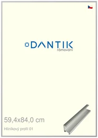 DANTIK rám na obraz 59,4x84 | ALU Stříbrná matná (Plexi Čiré)