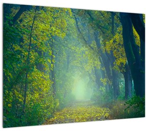 Sklenený obraz cesty lemovanej stromami (70x50 cm)