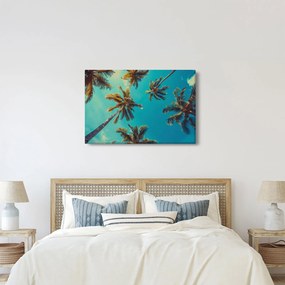 Obraz - Vysoké palmy (90x60 cm)