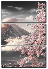 Obraz na plátne - Hora Fuji a čerešňové kvety na jar - obdĺžnik 7266QB (105x70 cm)