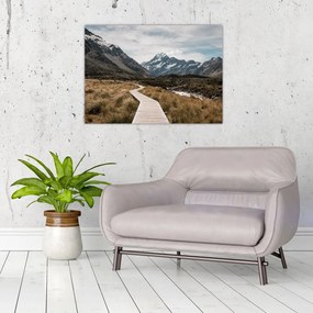 Sklenený obraz - Chodník v údolí hory Mt. Cook (70x50 cm)