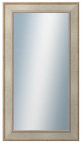 DANTIK - Zrkadlo v rámu, rozmer s rámom 50x90 cm z lišty TOOTH strieborná (2779)