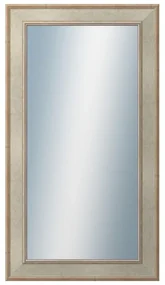 DANTIK - Zrkadlo v rámu, rozmer s rámom 50x90 cm z lišty TOOTH strieborná (2779)
