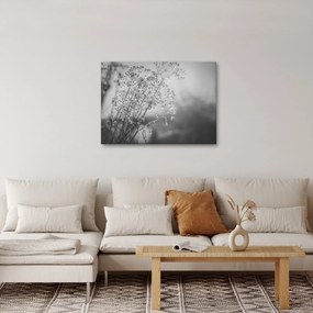 Obraz - Lúka po daždi (70x50 cm)