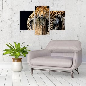 Obraz - Gepard (90x60 cm)