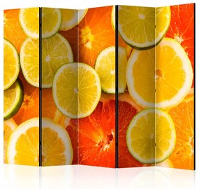 Artgeist Paraván - Citrus fruits [Room Dividers]