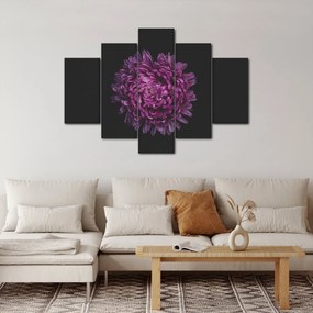 Obraz fialovej kvetiny (150x105 cm)