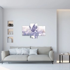 Obraz - Motýľ a levanduľa (90x60 cm)