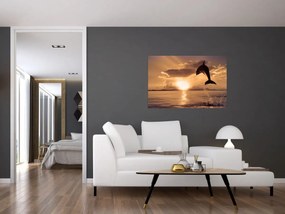 Obraz - Delfín pri západe slnka (90x60 cm)