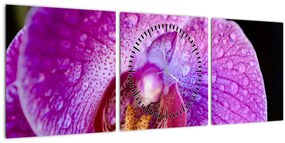 Detailný obraz kvetu orchidey (s hodinami) (90x30 cm)