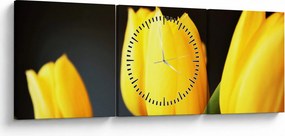 Obraz tulipánov (s hodinami) (90x30 cm)