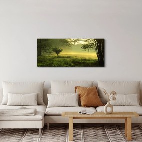 Obraz - Prebúdzajúci sa les (120x50 cm)
