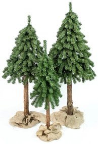 Vianočný stromček- Smrek prírodný na dreve 210 cm