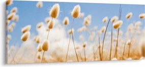 Obraz - Zlaté pole (120x50 cm)